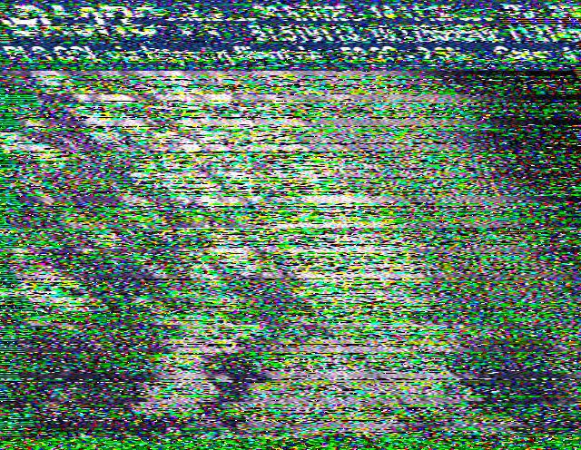 Hist29