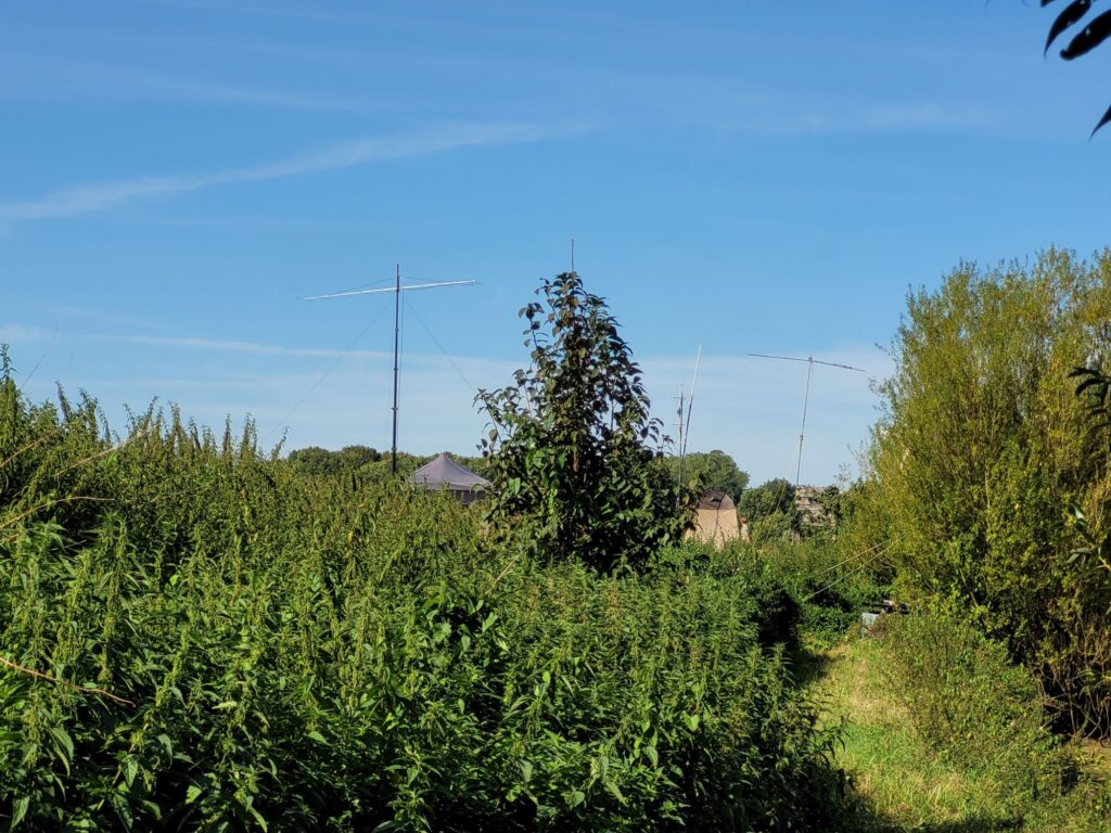 Wp 17574947297367051548598279556732.jpg